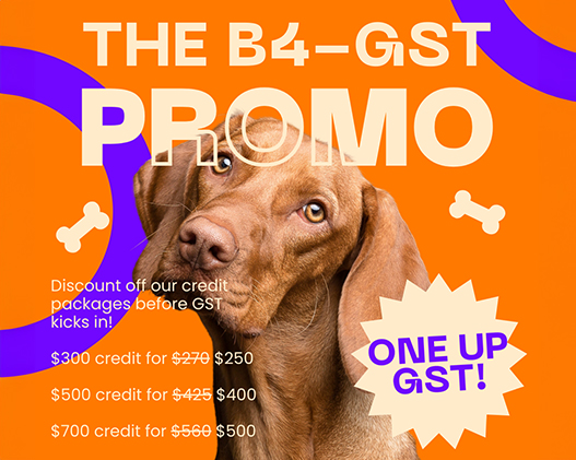 Upcoming Changes: GST Registration, Price Revision, and Special Promotion