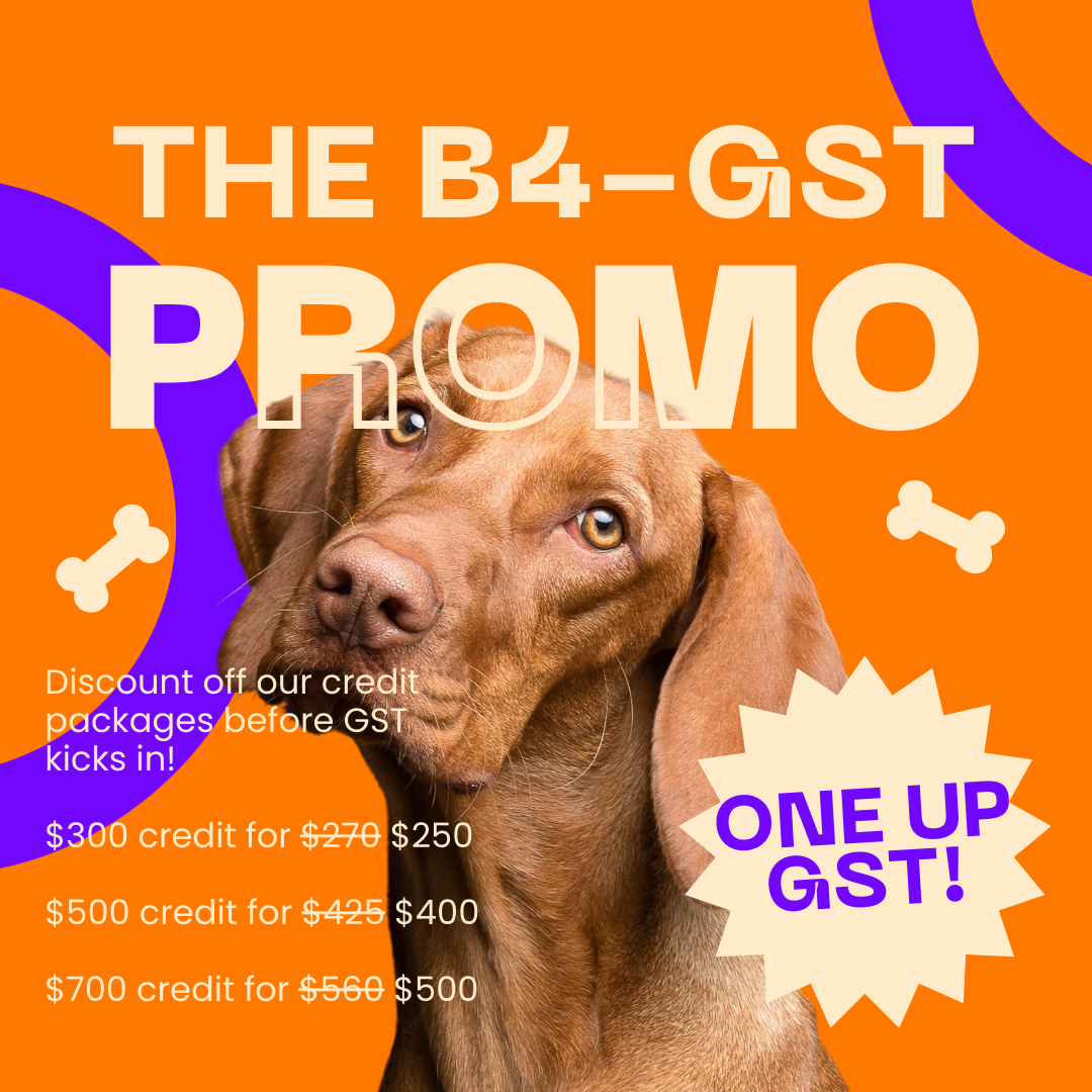 The B4-GST Promo