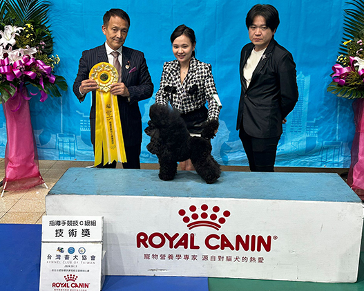 Putting on a good show at the Kennel Club of Taiwan Dog Handling Competition